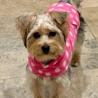 Gailbugtx (@gailbugtx) 's Twitter Profile