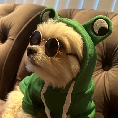 Hosjam2025's profile picture. 🐶🐶🐶🐶