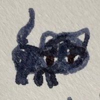 たいと。 (@ame_to_tuki) 's Twitter Profile