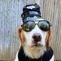 Whitey Smith (@whitey777david) 's Twitter Profile