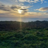 Jane Brophy (@jane_bro) 's Twitter Profile