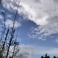 mohna afrin (@afrinmohna) 's Twitter Profile