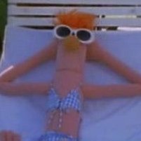 a collection of some of muppet history's most bizarre moments. dm for submissions!