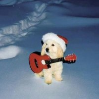 나나 (@nanachen1988) 's Twitter Profile