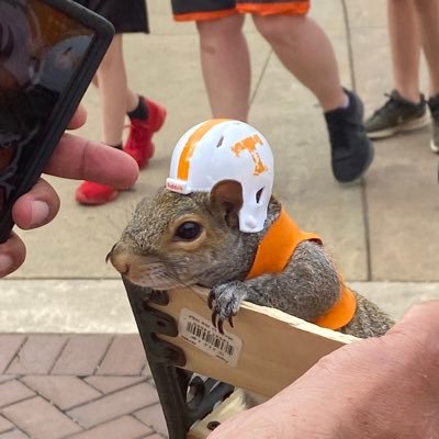 Huge race fan and die hard Tennessee Vols fan!