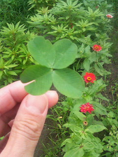 pa_chika's profile picture. 仙台生まれ。ぐりん・ぴいす＆カタツムリ社→耕野たからもの発見団→子ども関連NPO→ハート＆アート空間ビーアイ→青葉山エリアマネジメント。アートミーツケア学会、豆料理クラブ会員。