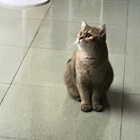 我討厭你 (@sir1_732) 's Twitter Profile