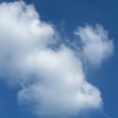 fahbunnies's profile picture. 