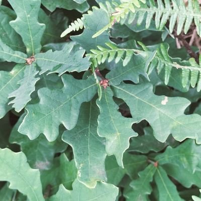 AnaGSobredo's profile picture. 