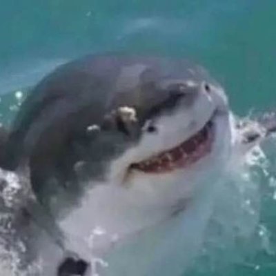He /him | 21 | Bi | Not being horny on main