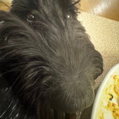 jgniquet's profile picture. nothing I want to share