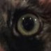 freaky alt account π (@freakyholiuig) Twitter profile photo freaky alt account π (@freakyholiuig) Twitter profile photo