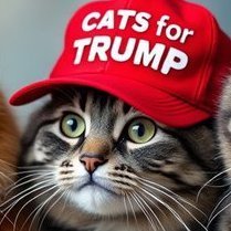 Trump forever! La France doit soutenir cet home qui se bat pour la paix dans le monde.