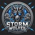 new storm wolves (@bariesports) Twitter profile photo new storm wolves (@bariesports) Twitter profile photo