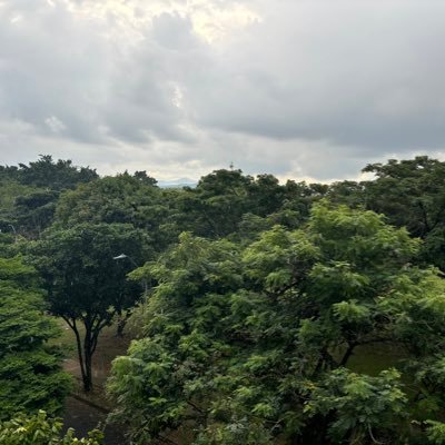 mejorqueyo_'s profile picture. 