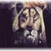 American Airbrush n Pinstriping (@arkbikerartist) Twitter profile photo American Airbrush n Pinstriping (@arkbikerartist) Twitter profile photo