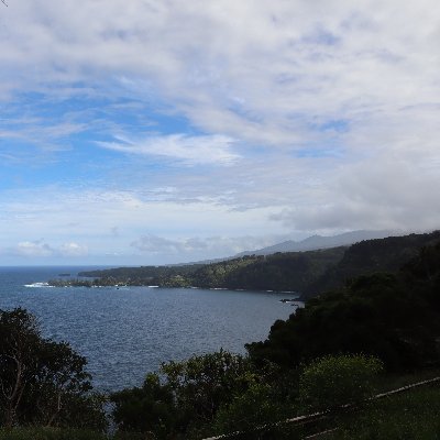 Terry_Tanasiuk's profile picture. 🍉🍉🍉