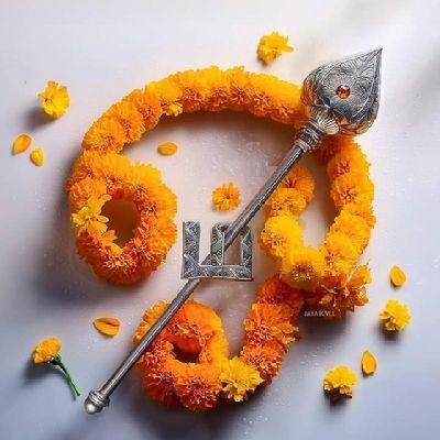 DinaDinesh42286's profile picture. 