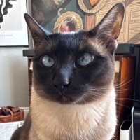 Ben Marshall (@benmarshall1991) 's Twitter Profile