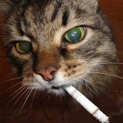 9_success_9's profile picture. Just a Day Trader