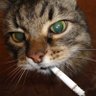 9_success_9's profile picture. Just a Day Trader