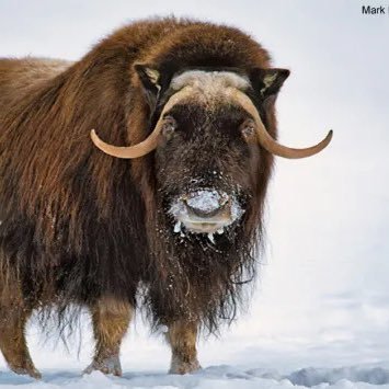 akasiusfinance's profile picture. Investor and business owner. Watcher of markets. Politics bore. Long time peppermint tea user. Post about trading, investing and this crazy world we live in.