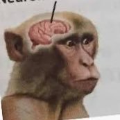 Silva, J.P. (@ertwro) 's Twitter Profile