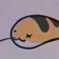 Kleiarkさんのプロフィール画像