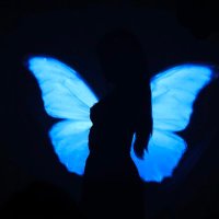 🦋🦋 (@2dolceforu) 's Twitter Profile