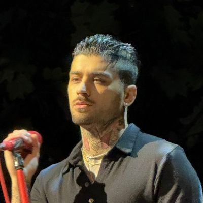Zaynians22's profile picture. I Acknowledge The Tribal Chief.
I may come off as a Seth hater for spitting facts about Roman being greater than him but I love #Rolleigns