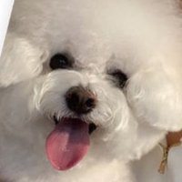 sk☆ (@iii_iioi_i) 's Twitter Profile