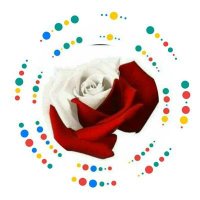 Grazyna (@cwiklowa) 's Twitter Profile Photo Grazyna (@cwiklowa) 's Twitter Profile Photo