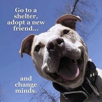Cindy Tracy; We can do this together! ππββ¬ππ¦
π (@expertsrock) 's Twitter Profile