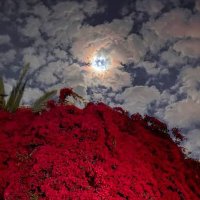 KW (@smdlwl) 's Twitter Profile