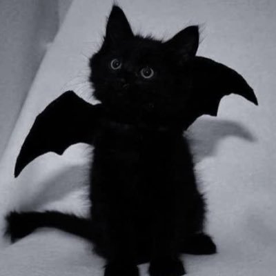 bozonugget's profile picture. i love chainsaw man