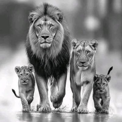 Emprendedor1981's profile picture. 