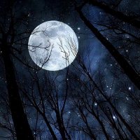 شيخ روحاني مجرب في الاردن (@jordanrwuhani) 's Twitter Profile Photo شيخ روحاني مجرب في الاردن (@jordanrwuhani) 's Twitter Profile Photo