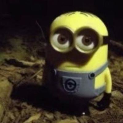 oiseuvini's profile picture. 🔴⚪⚫