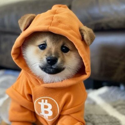 aniadanna96's profile picture. DOG of Bitcoin 🦣❤️🦣