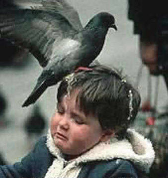 MoppenBaas's profile picture. Voor de beste moppen follow je MoppenBaas ! Follow if you dare.