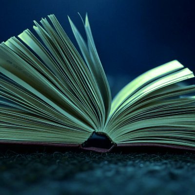 Independent book critic, reviewing and recommending books day after day.