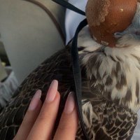 . (@aa8l_) 's Twitter Profile