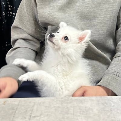 sayaka_tm_douga's profile picture. 