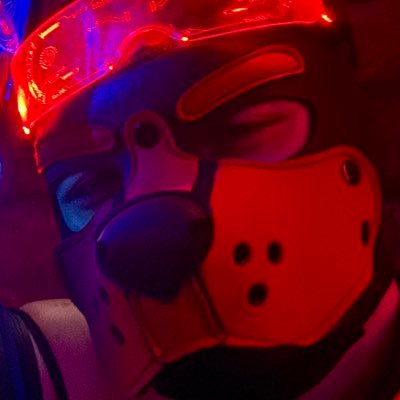 pup_dave47454's profile picture. 