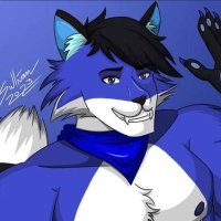 Blue Wolfox (@bluewolfox03) 's Twitter Profile