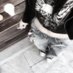 Gadiela (@gadie_zapvta) Twitter profile photo Gadiela (@gadie_zapvta) Twitter profile photo