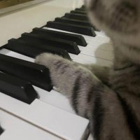 0 K (@0k_music) 's Twitter Profile