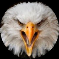 LooseChange452 (@loosechange452) 's Twitter Profile