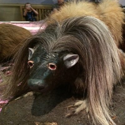 juanan_07_'s profile picture. ignorante de la vida