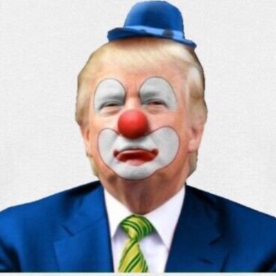 My Pronouns: Fuck / Trump - Trump’s Pronouns: Rapist/Felon ………………………………………………Blue Sky: @PaulFreid5.bsky.social